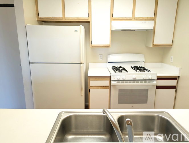 A kitchen with a stove, sink, and refrigerator.