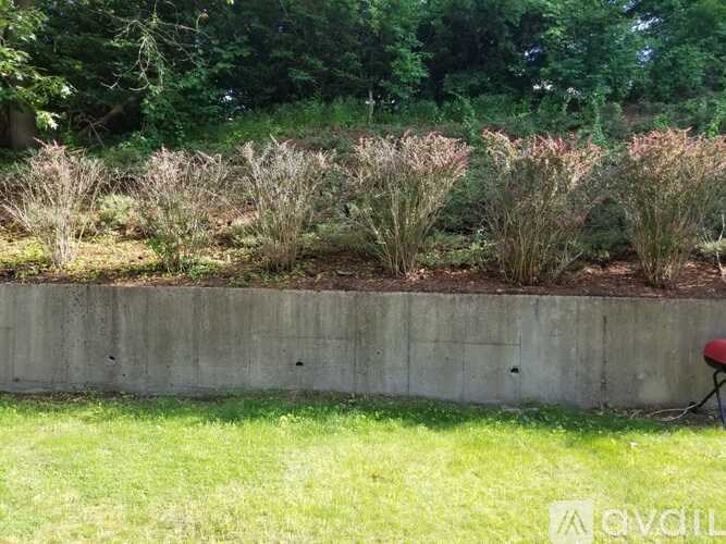 A concrete wall with grass in front and bushes behind it.