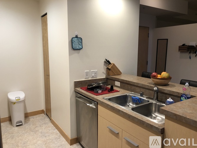 A kitchen with a stainless steel dishwasher and a sink with a bowl of fruit on the counter.