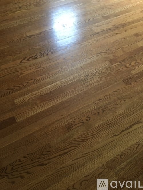 A wooden floor with a logo that reads "avail".