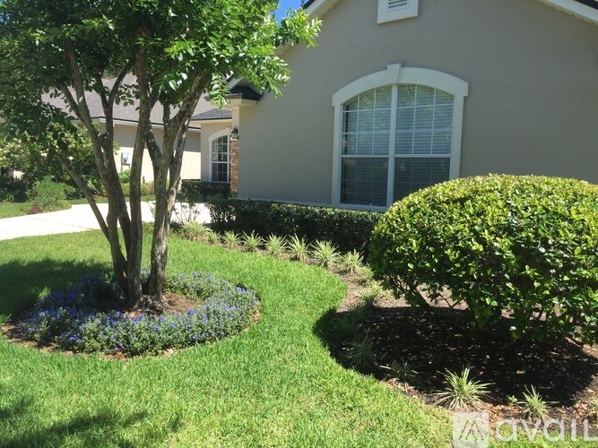 A tree with green leaves is in the middle of a flower bed.