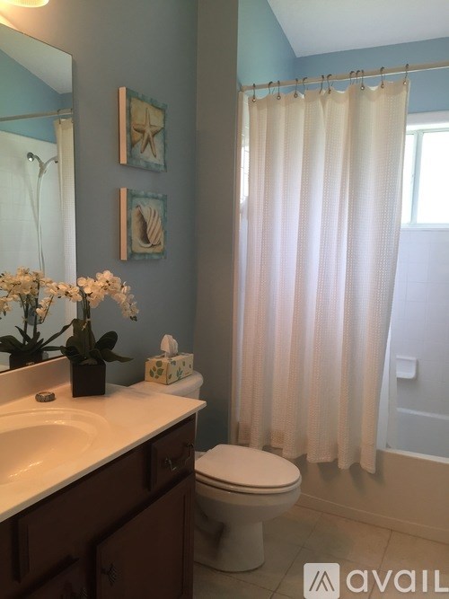 A bathroom with a white toilet, sink, and shower curtain.