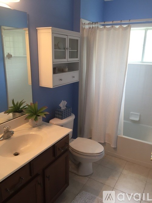 A bathroom with blue walls and a white toilet.