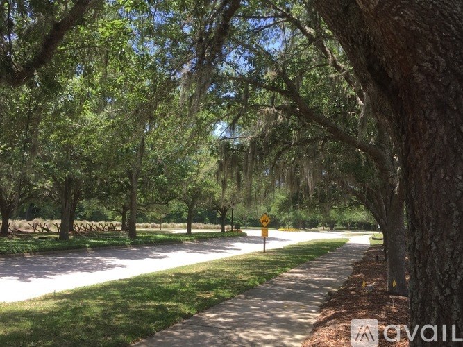 A tree-lined street with a yellow sign in the distance.