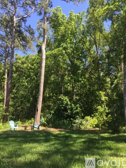 Two blue chairs are in the foreground of a lush green forest.