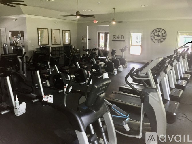 A gym with treadmills and exercise equipment.