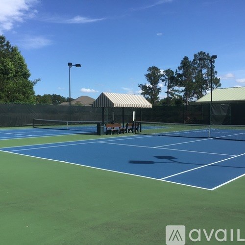 A tennis court with a blue and green surface and a white line marking the boundary.