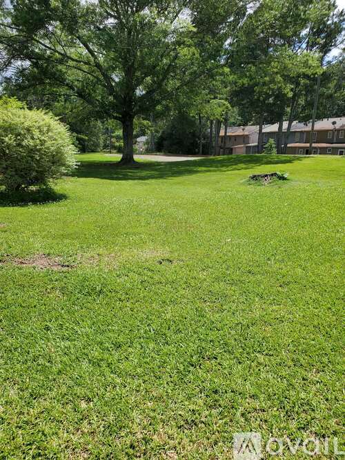 A grassy field with a tree and a building in the background.