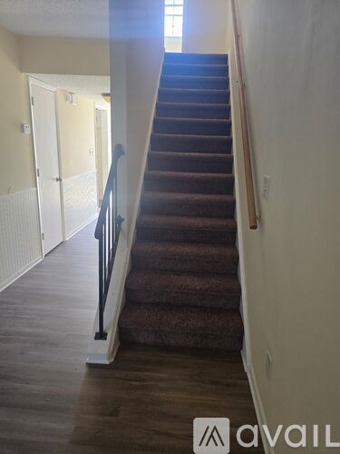 A staircase with a carpeted runner and wooden steps.
