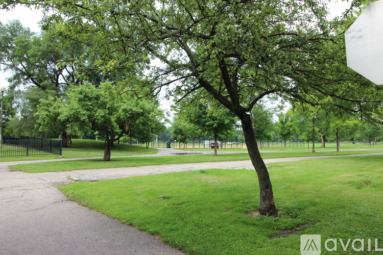 A tree in a grassy area with a pathway.