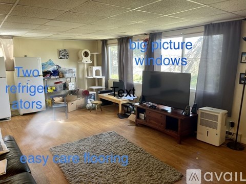 A living room with a TV, two refrigerators, and a rug on the floor.