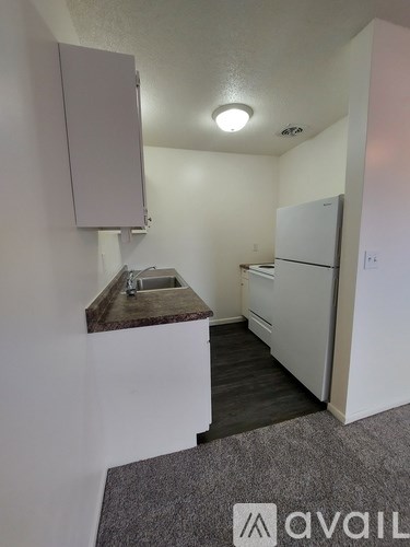 A small kitchen with a sink and refrigerator.