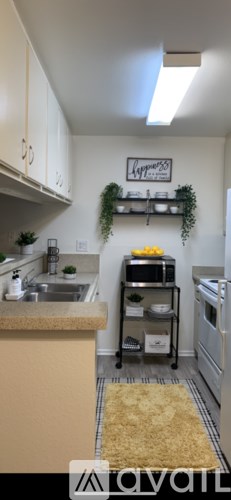 A kitchen with a sink, stove, and a shelf with plants on it.