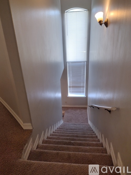 A staircase with a carpeted runner and white risers.