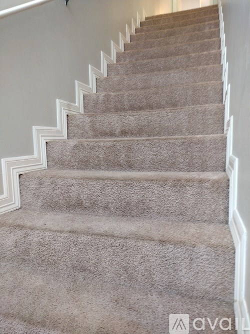 A staircase with a beige carpeted runner and white risers.