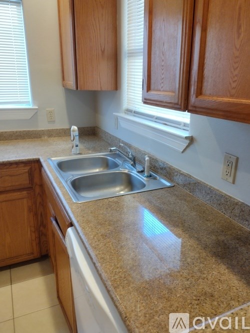 A kitchen with a sink and wooden cabinets.