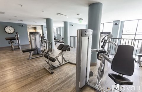 A gym with a variety of equipment including treadmills, weights, and a bench press.