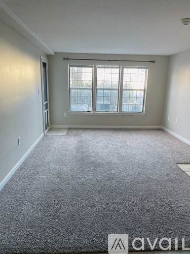 A carpeted room with a window and a door.