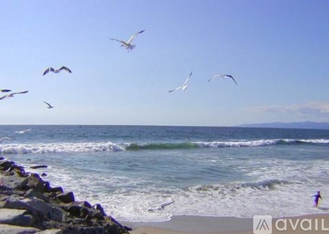 Birds flying over a beach with waves crashing on the shore.