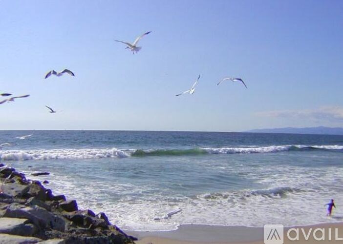 Birds flying over a beach with waves crashing on the shore.