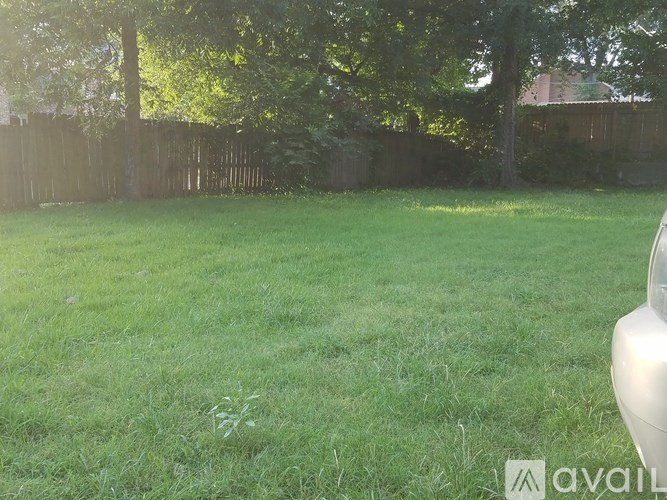 A backyard with a wooden fence and trees.
