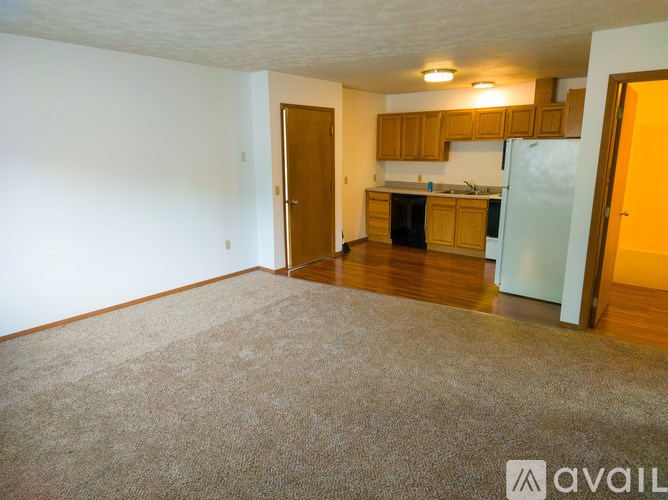 A carpeted room with a kitchen area in the background.