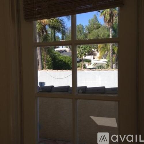 A window with a view of a palm tree and a house.