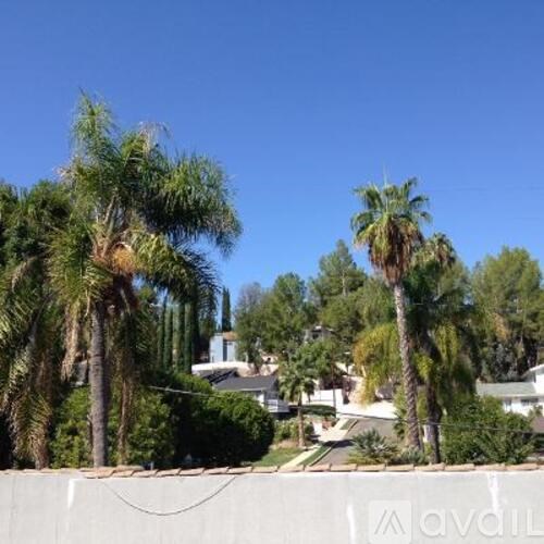 A palm tree stands tall in a residential area.