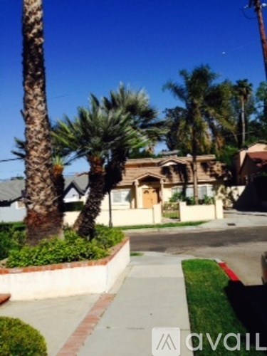 A palm tree and a house are in the background.
