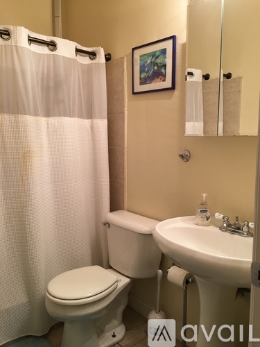A bathroom with a toilet, sink, and shower curtain.