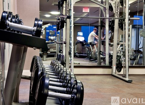 A gym with a row of dumbbells in the foreground and a man working out in the background.