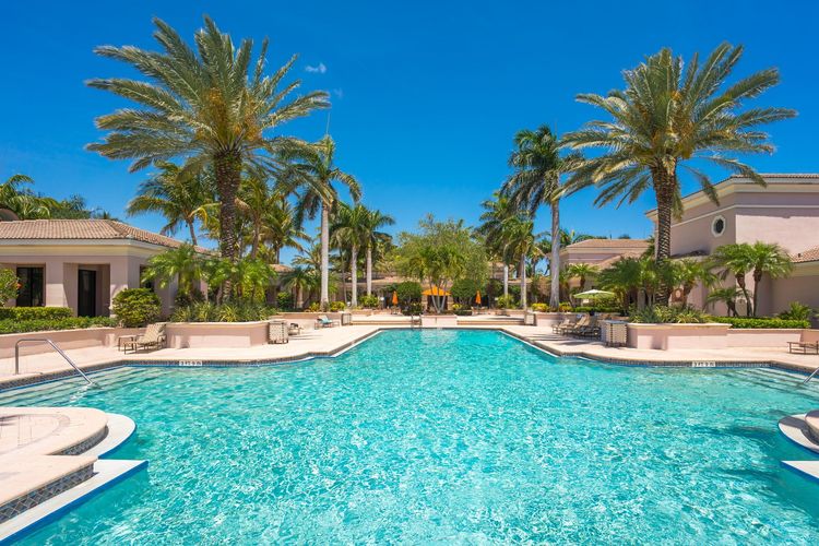 A large swimming pool surrounded by palm trees and a clear blue sky.