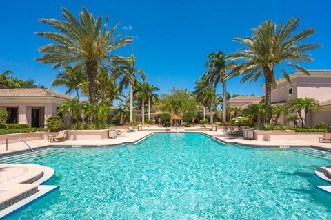 A large swimming pool surrounded by palm trees and a clear blue sky.