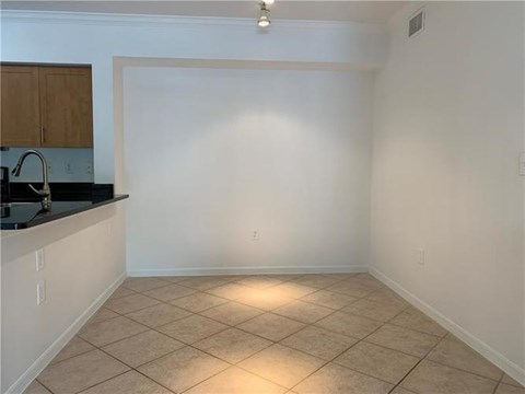 A kitchen with a counter and cabinets.