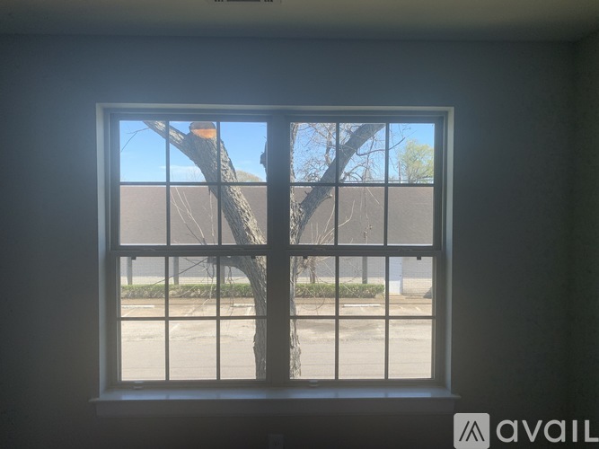 A window with a view of a tree and a building.