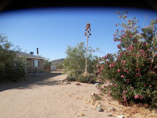 A house with a brown roof and a chimney is surrounded by greenery and flowers.