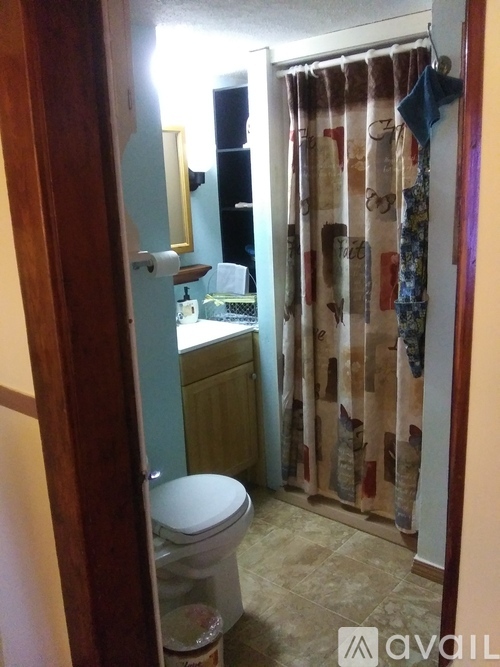 A bathroom with a toilet, sink, and shower curtain.