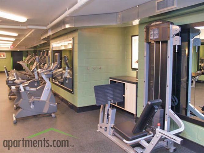 A gym with a green wall and a row of treadmills.