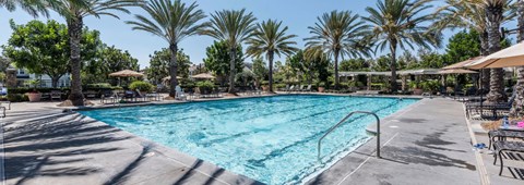 A large swimming pool surrounded by palm trees and lounge chairs.