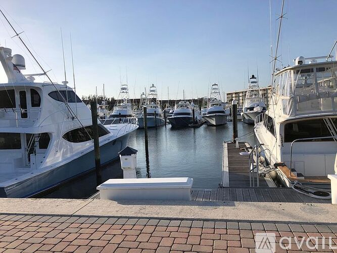 A marina with several yachts docked at the pier.