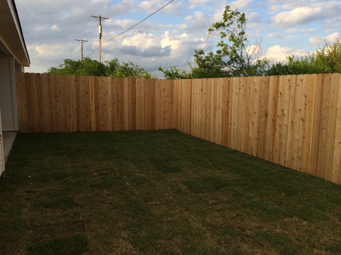 A backyard with a wooden fence and green grass.