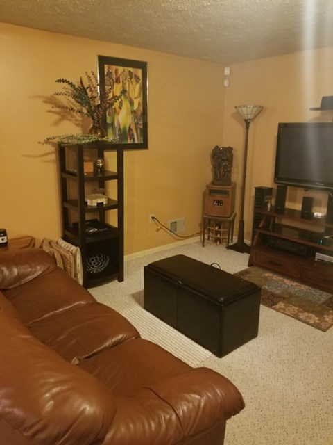 A living room with a brown leather couch and a television.