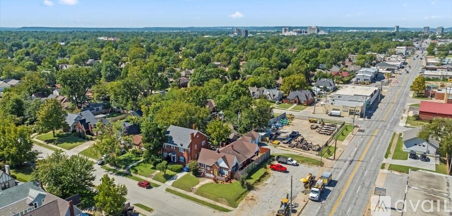 A suburban street with houses on both sides and a road in the middle.