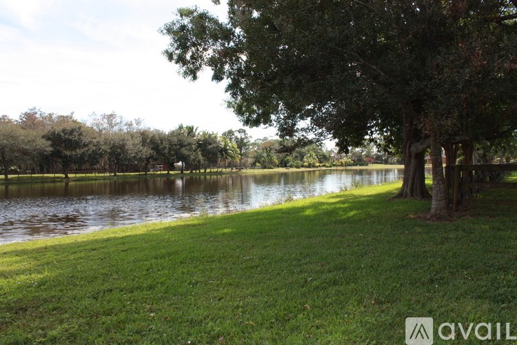 A tree stands next to a body of water.
