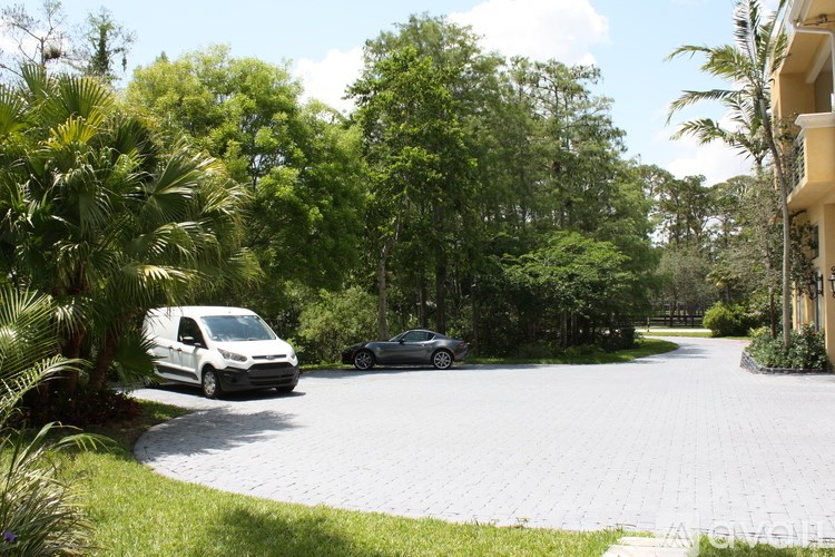 A white van and a black car are parked in a driveway.