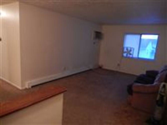 A living room with a couch and a television.