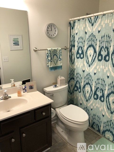 A bathroom with a toilet, sink, and shower curtain.