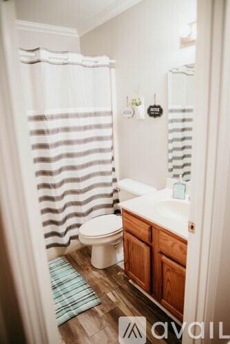 A bathroom with a toilet, sink, and shower curtain.