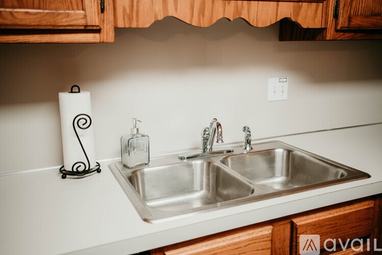 A kitchen sink with a paper towel holder and a soap dispenser.