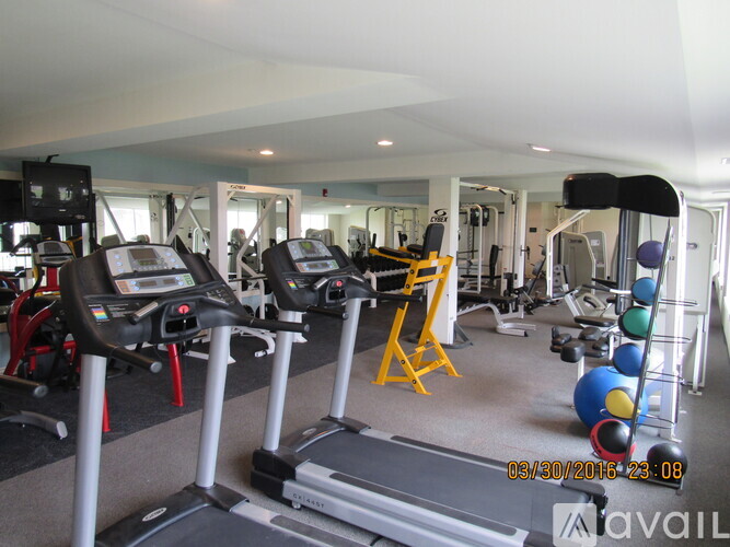 A gym with treadmills, weights, and exercise equipment.